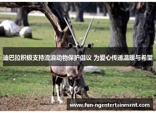 迪巴拉积极支持流浪动物保护倡议 为爱心传递温暖与希望